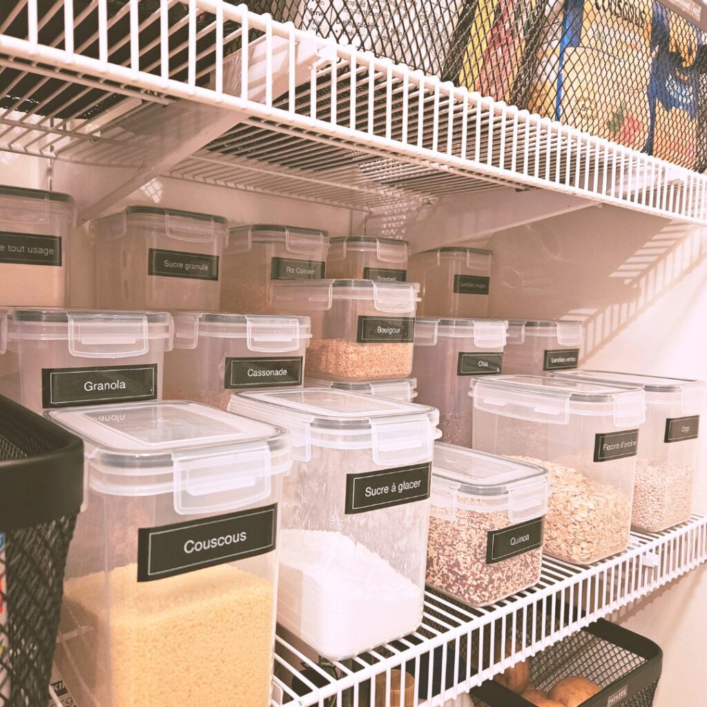 elizabeth alescio organiser pour s'alléger le quotidien famille