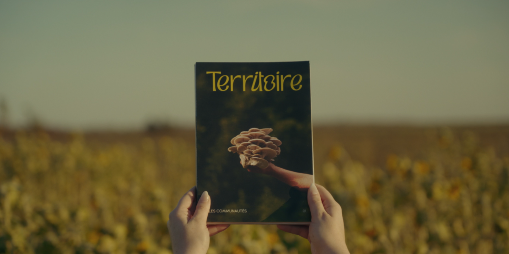 Magazine Territoire
